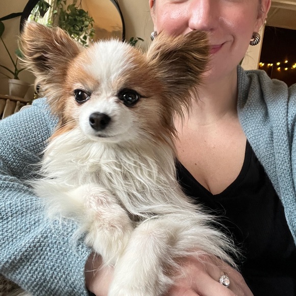 Meet Papillon Vetements ❤️ - Picture 3 of 3